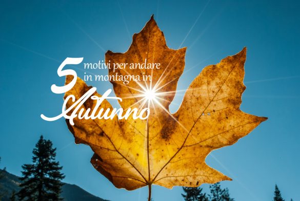 Autunno_foglia